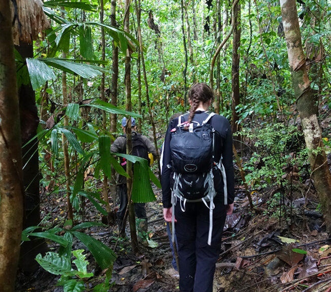 A student from The King Alfred School pictured from behind, walking through the Indonesian rainforest