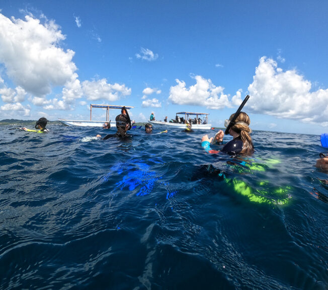 A group of students from The King Alfred School wearing snorkels pictured in the sea, with a sail boat behind them