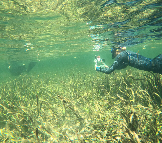 A student from The King Alfred School taking a photo underwater