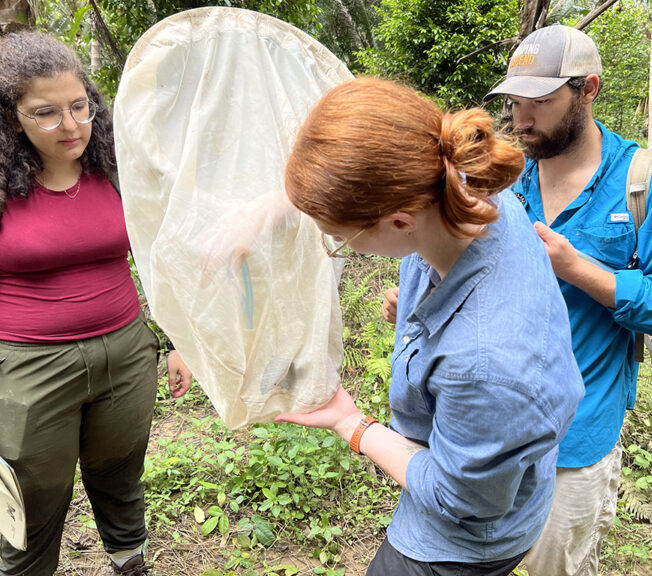 Two teenage girls from The King Alfred School look at a butterfly caught in a net whilst standing in the Indonesian jungle