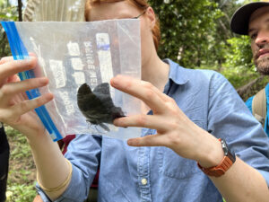 Students look at a butterfly specimen in a ziplock bag