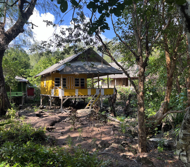 A bright yellow hut surrounded by rainforest in Indonesia