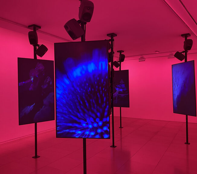 Bright blue digital artworks displayed on screens in an empty room that has been lit pink