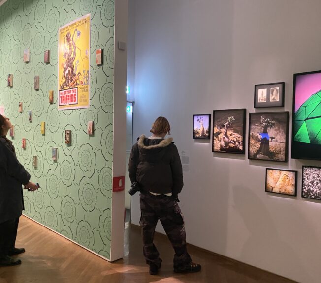 A male Sixth Form student from The King Alfred School looks at pictures in a photography exhibition at Paris Photo