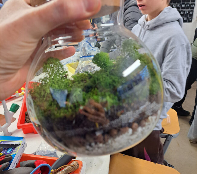 Close up of a small glass terrarium, a jar containing soil and small plants